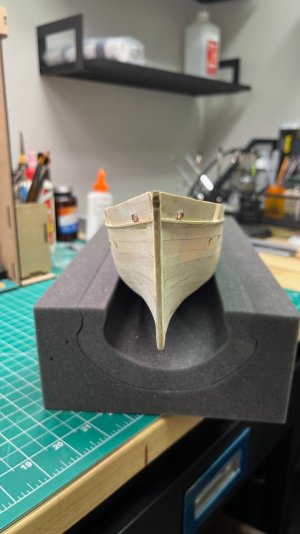 Bow voew rub rails.jpeg