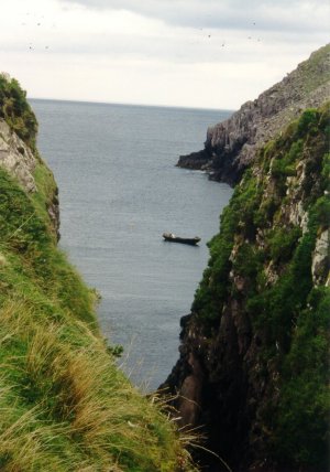 irish16.jpg