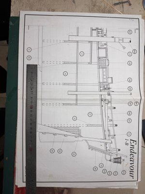 IMG_4286.jpeg IMG_4286.jpeg