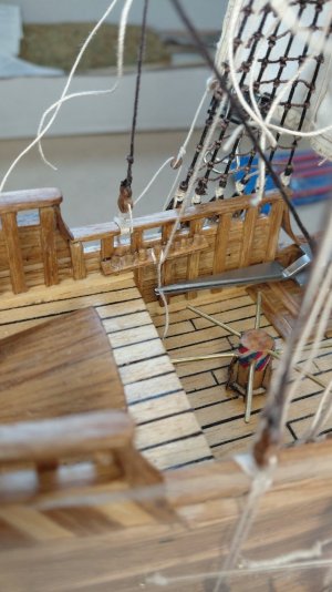 20260910_115530.jpg