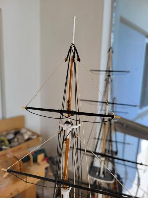 20260910_120830.jpg