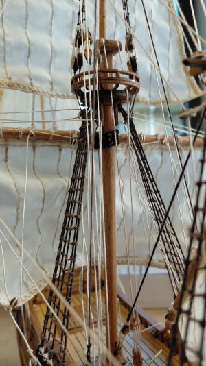20260913_124439.jpg