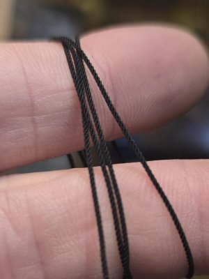 1000031535.jpg