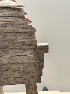 IMG_7831.jpeg IMG_7831.jpeg
