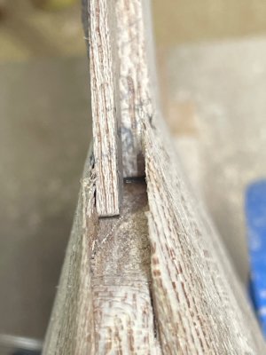 IMG_7834.jpeg IMG_7834.jpeg
