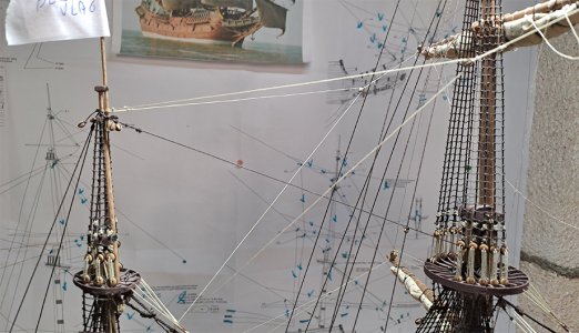 20260920_006.jpg