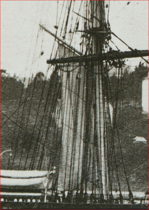 1790154246263.png