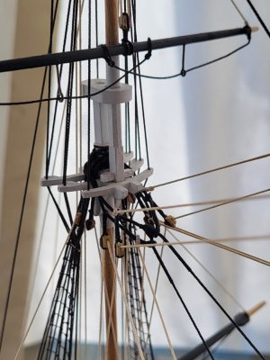 20260923_131330.jpg