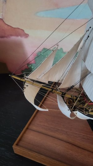 20260923_184915.jpg