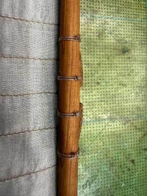 IMG_3207.jpeg IMG_3207.jpeg