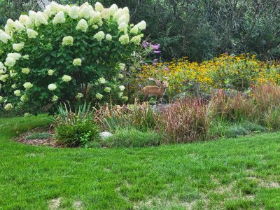 20260904_085821[1].jpg