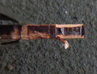 gun23.jpg