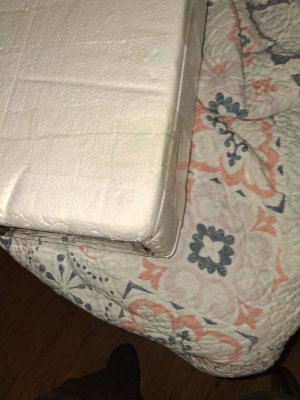 20261003_123752.jpg