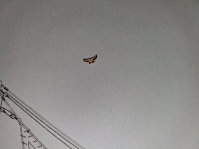 20261003_124300.jpg