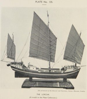 Pic-0462.jpg