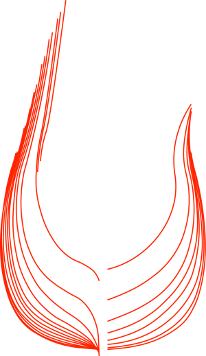 Batavia_Realistic_Cross_Sections.png