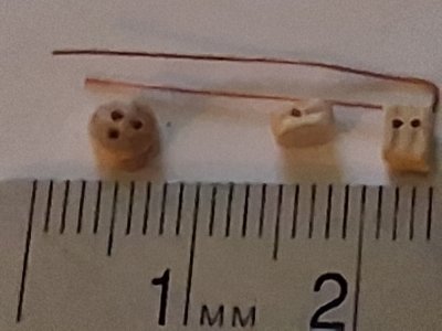 Photo_07.jpg