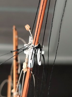IMG_20261010_072705.jpg