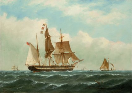 bhc3541.jpg