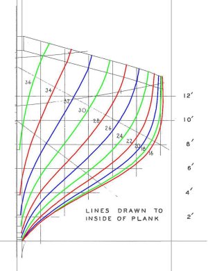 16-GracieS Body 48 fore trace.jpg 16-GracieS Body 48 fore trace.jpg