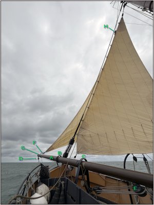 1250 Kluiverboom.jpg