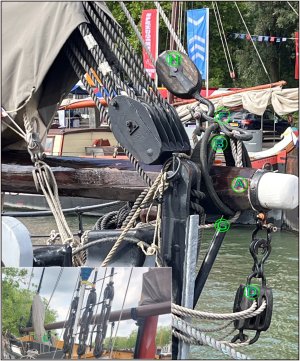 1251 Kluiverboom.jpg