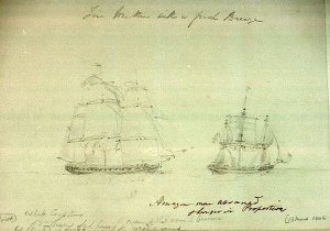 HMS_Amazon_(1799)_pursuing_possible_Belle_Poule.jpg