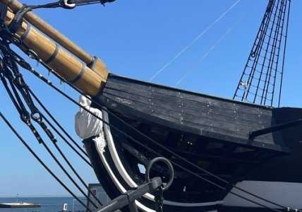 bow1.jpg bow1.jpg