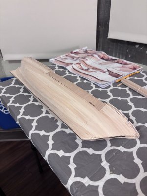 Sanding 0.jpg