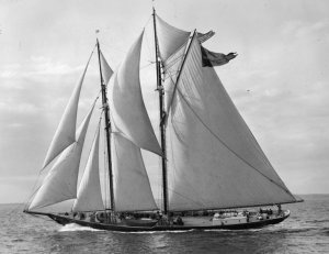 bluenose.02-768x591.jpg