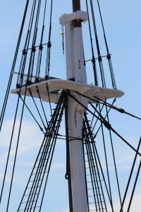 IMG_4341.jpg