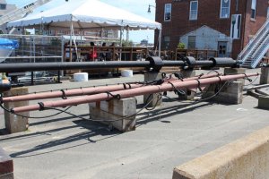 IMG_4355.jpg