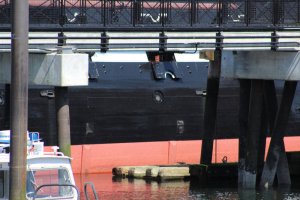 IMG_4412.jpg