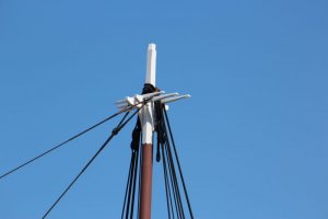 IMG_4418.jpg