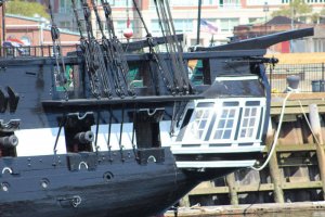 IMG_4420.jpg