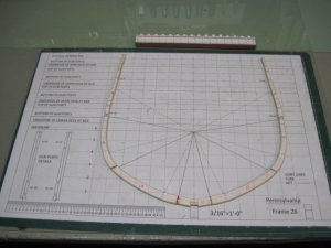 IMG_3155.jpg