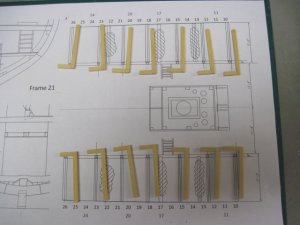 IMG_3378.jpg