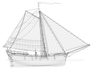 elev_voile.jpg elev_voile.jpg