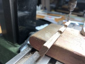 IMG_0530.JPEG