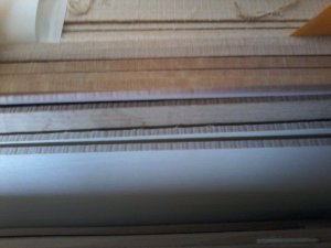 20190504_180859[4675].jpg