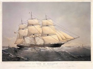 SV_City_Adelaide_Dutton_Lithograph.jpg