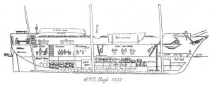 HMS_Beagle_1832_longitudinal_section_larger.jpg