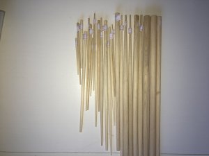 IMG_0854.jpg