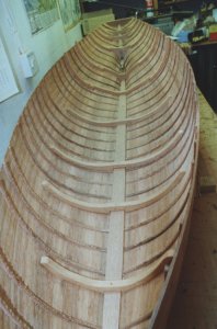Natterer - Old025.jpg