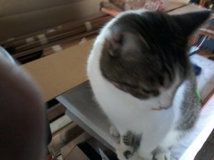 20190626_225713[5825].jpg