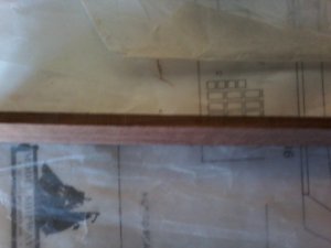 20190627_183908[5831].jpg