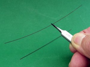 wire rigging (Large).JPG