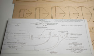 Rattlesnake-05.jpg