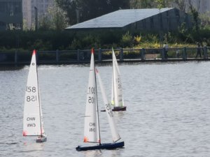 IMG_20190901_092545.jpg
