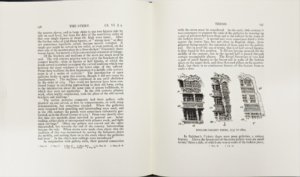 IMG_37641.jpg